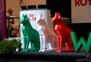 31 ottobre 2021 - domenica - World Winner Cat. 1 - World Show 2021 Foto World Cat Show ANFI - FIFe Vicenza Italy