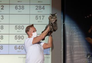 31 ottobre 2021 - domenica - World Winner Cat. 2 - World Show 2021 Foto World Cat Show ANFI - FIFe Vicenza Italy