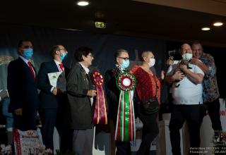 31 ottobre 2021 - domenica - World Winner Cat. 3 - World Show 2021 Foto World Cat Show ANFI - FIFe Vicenza Italy