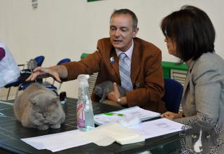 Gatti di razza - Esposizione Felina Internazionale Borgo Valsugana (Trento) 19 e 20.05.2012