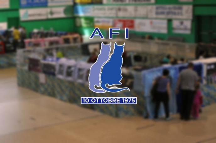 Calendario expo 2016 AFI - WCF - Italia