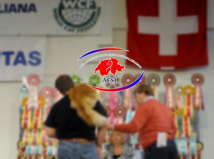 Esposizioni Feline AFSI WCF 2016 Svizzera