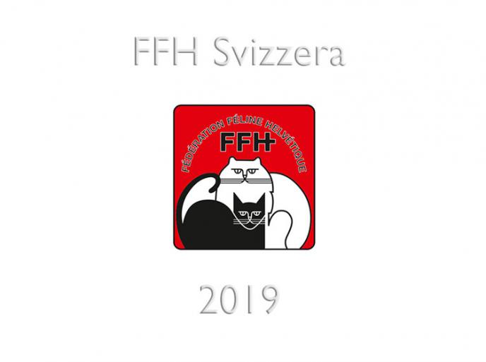 Calendario expo 2019 FFH FIFe Svizzera