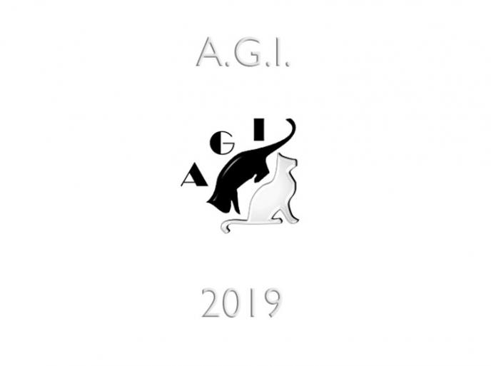 Calendario expo 2019 - AGI - WCF - Italia