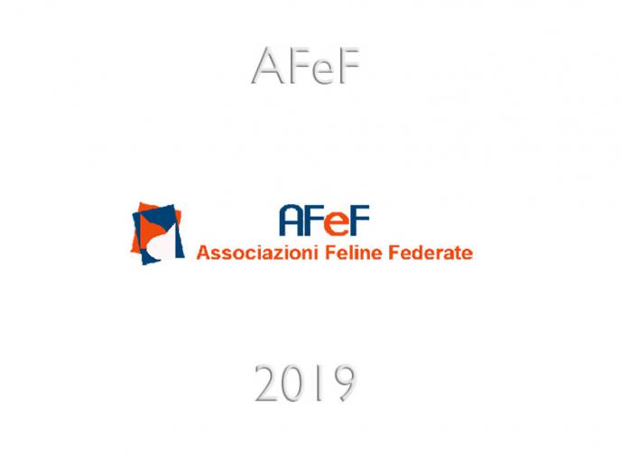 Calendario expo 2019 - AFeF -WCF - Italia