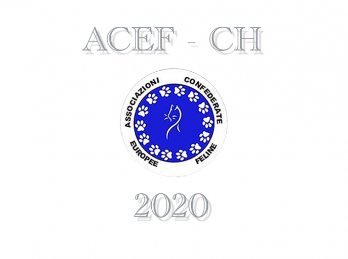 Esposizioni Feline 2020 ACEF WCF Svizzera