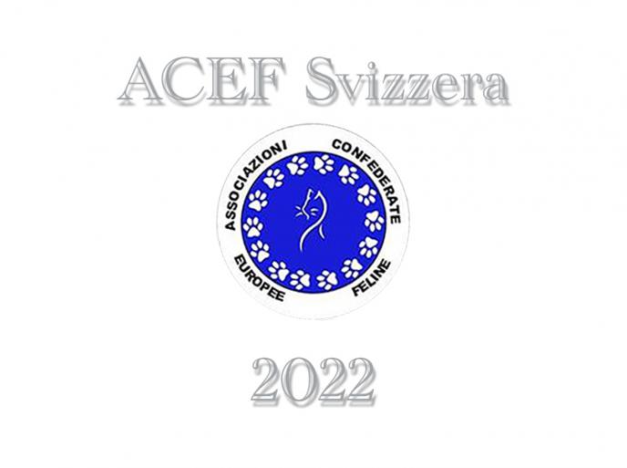 Esposizioni Feline 2022 ACEF WCF Svizzera