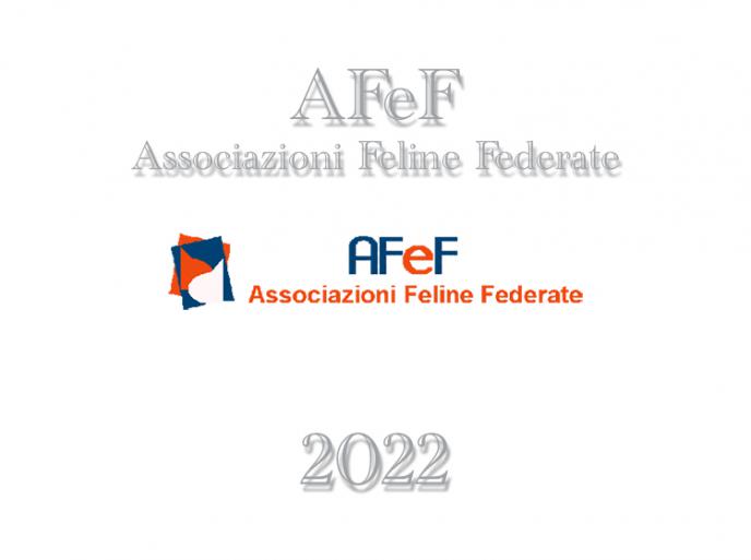 Calendario expo 2022 - AFeF - Italia
