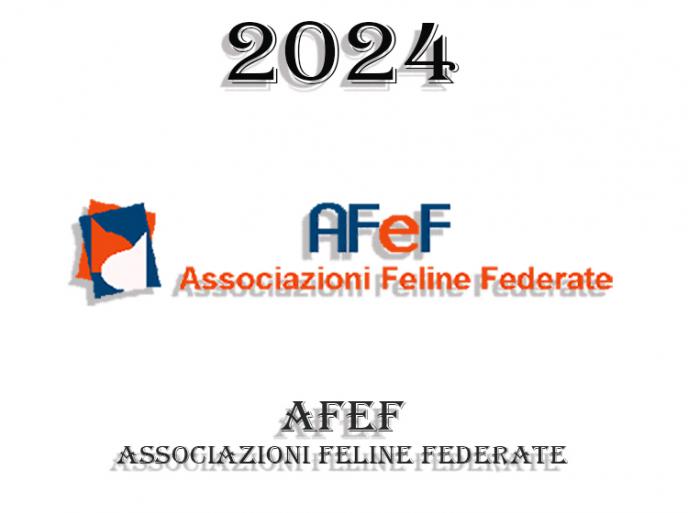 Calendario expo 2024 - AFeF - Italia