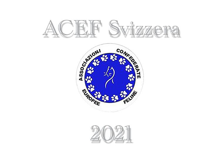 Esposizioni Feline 2021 ACEF WCF Svizzera