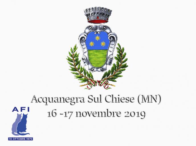 16 e 17 novembre 2019 Esposizione Internazionale Felina AFI - WCF di Acquanegra Sul Chiese (MN)