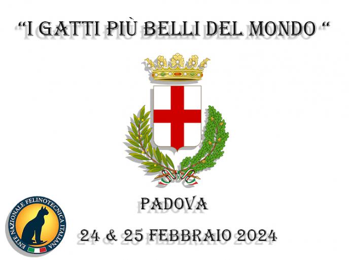 24 e 25 febbraio 2024 I gatti più belli del mondo - E.N.F.I. Padova