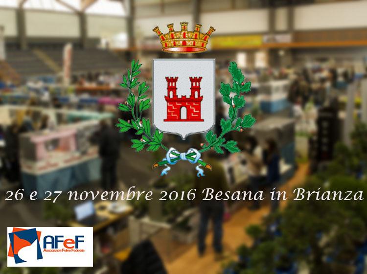 26 e 27 novembre 2016 Esposizione Internazionale Felina AFeF – WCF di Besana in Brianza