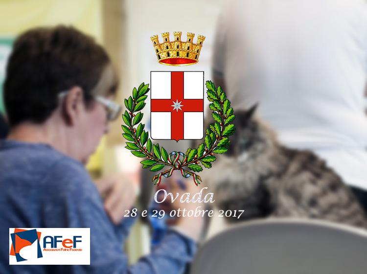 28 e 29 ottobre 2017 Esposizione Internazionale Felina AFeF - WCF di Ovada