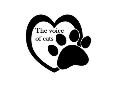 The voice of cats - Eraclea