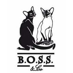 B.O.S.S. & Co