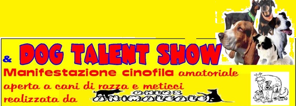 Dog Talent Show San Martino Siccomario 14 settembre 2014