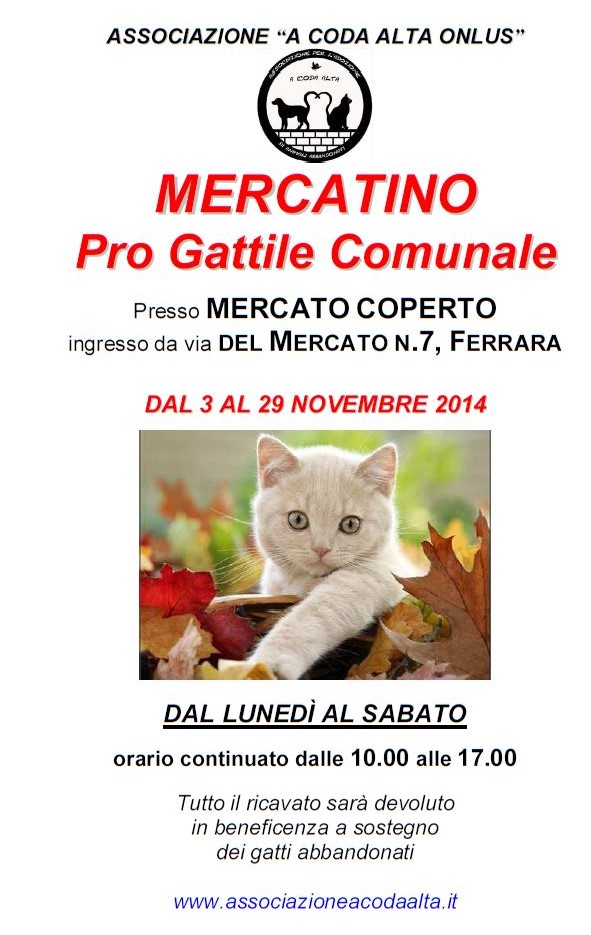 Mercatino pro gattile Ferrara novembre 2014