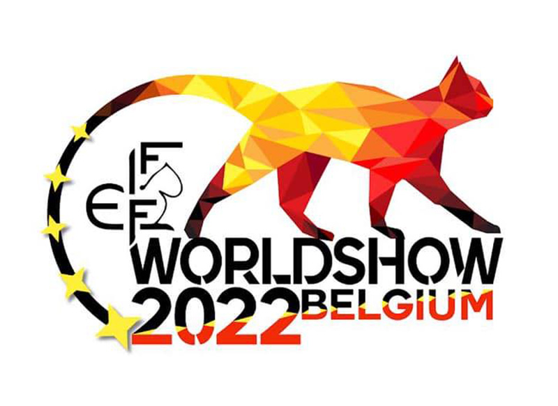 World Show 2021 - Milano Italia