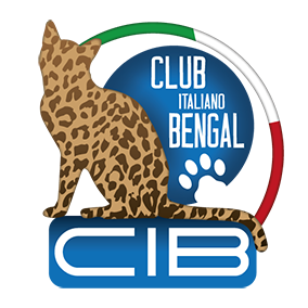 Club Italiano Bengal