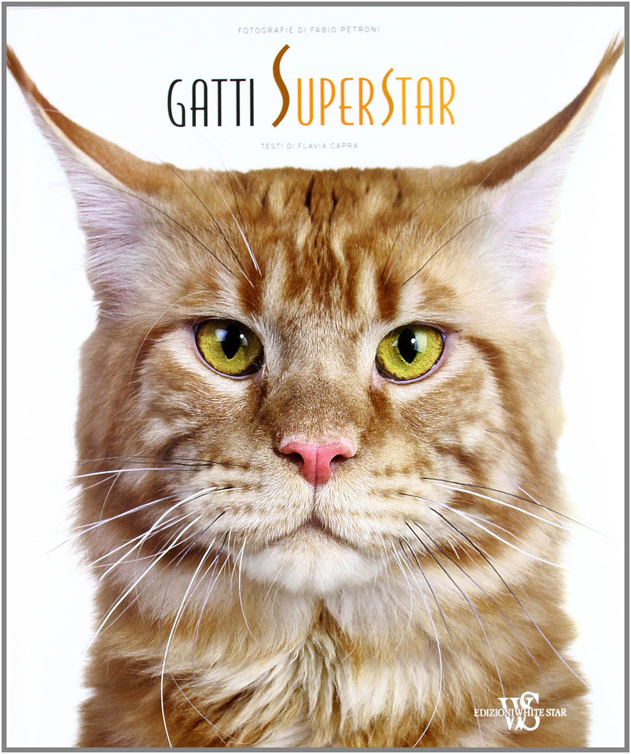 Gatti Superstar - Flavia Capra