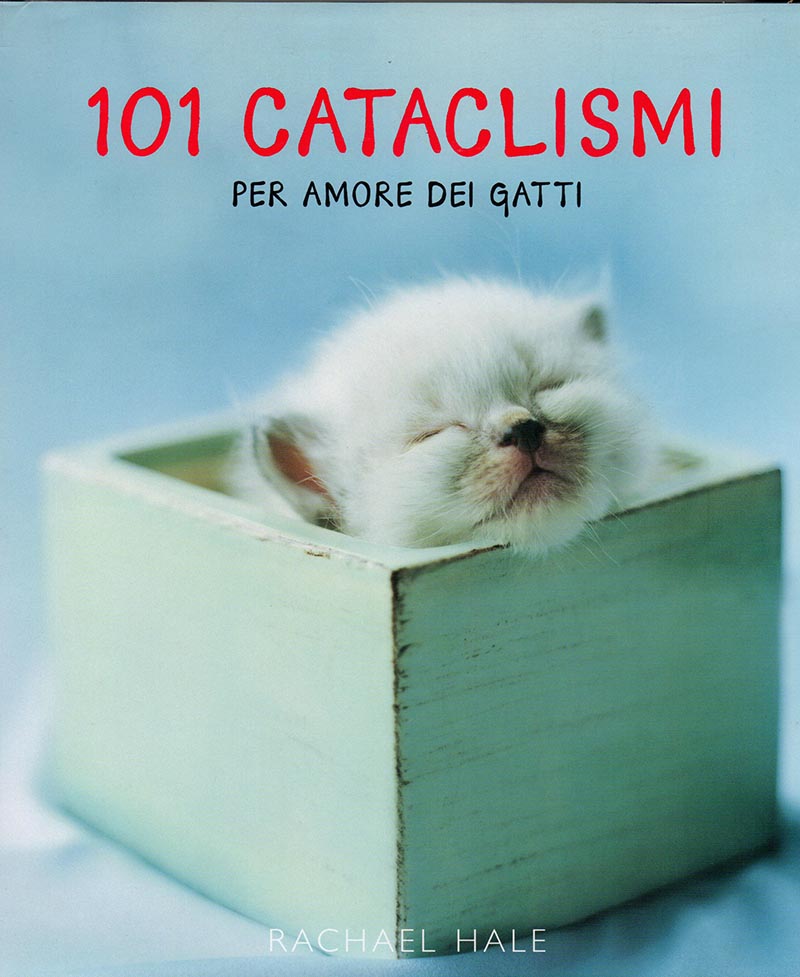 101 cataclismi. Per amore dei gatti - Rachael Hale