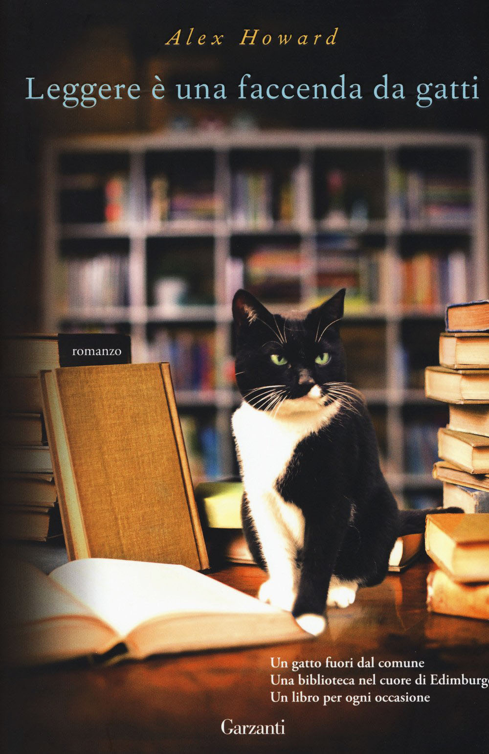 Leggere è una faccenda da gatti - Alex Howard