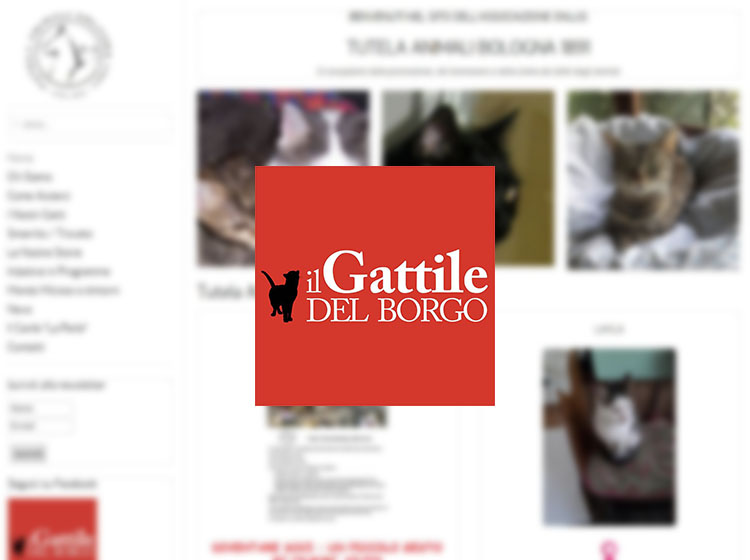 Volontariato gatti Emilia Romagna Provincia di Bologna Tutela