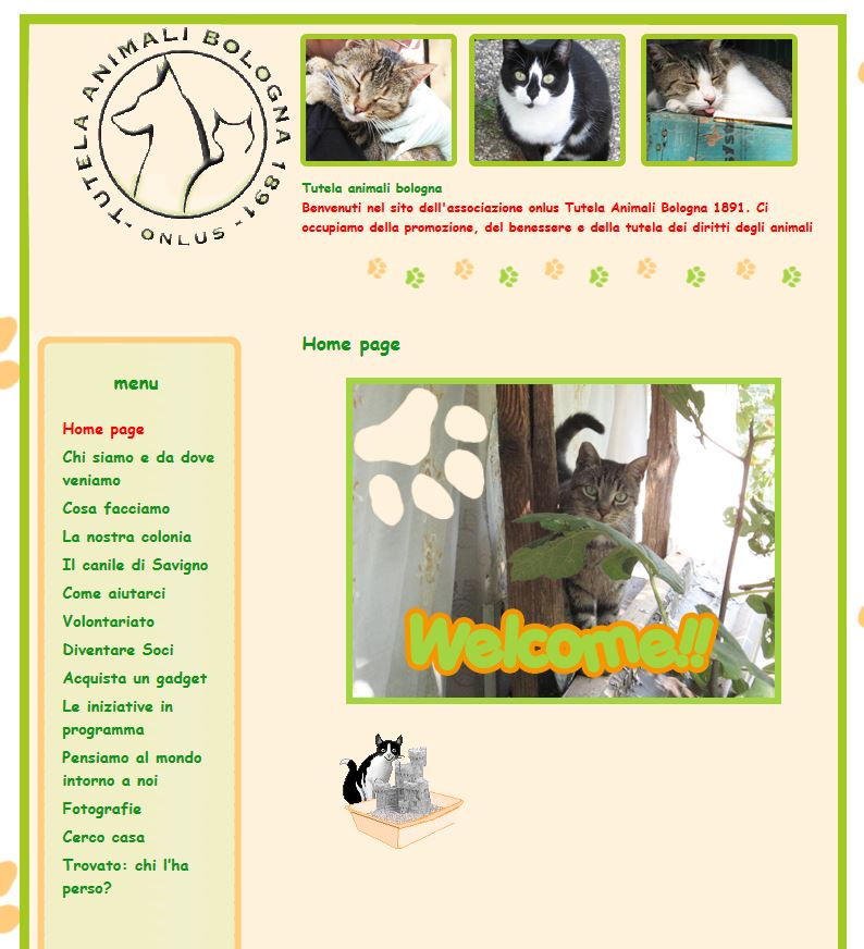 Volontariato gatti Emilia Romagna Provincia di Bologna Tutela
